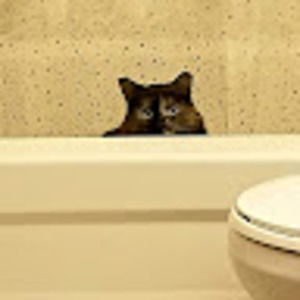 Meet your Posher, Rayanne